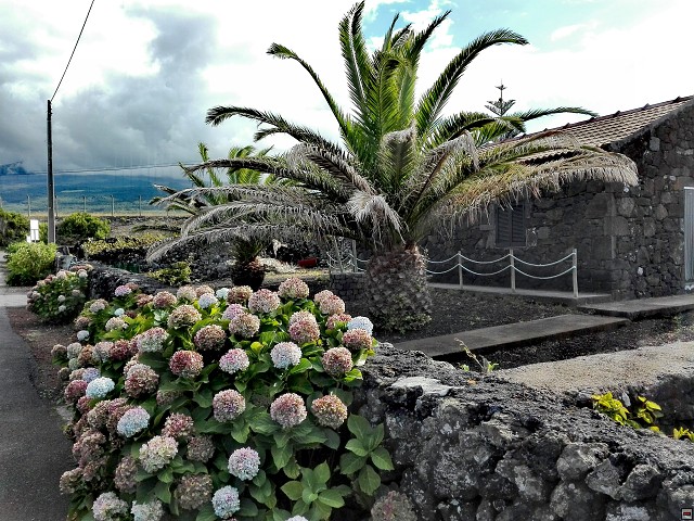 img00048.jpg