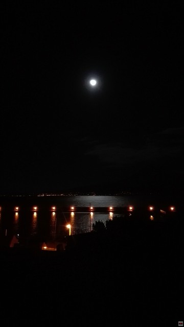 img00062.jpg