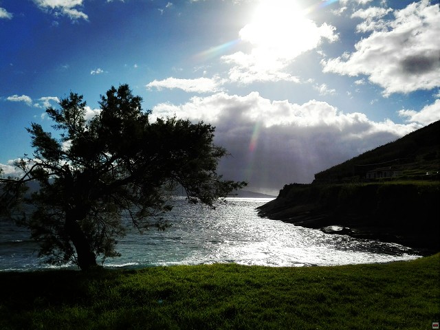 img00013.jpg