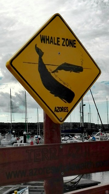 img00010.jpg