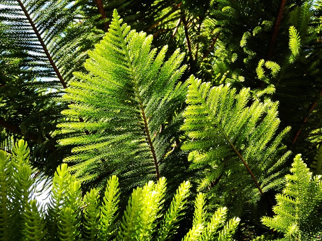 img00020.jpg
