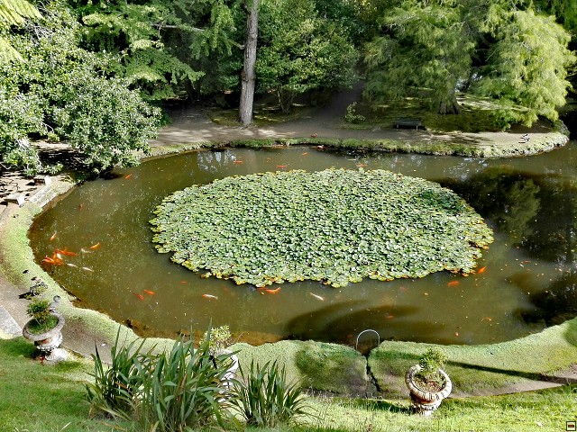 img00023.jpg