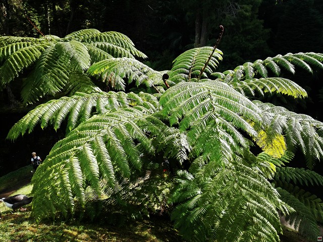 img00024.jpg