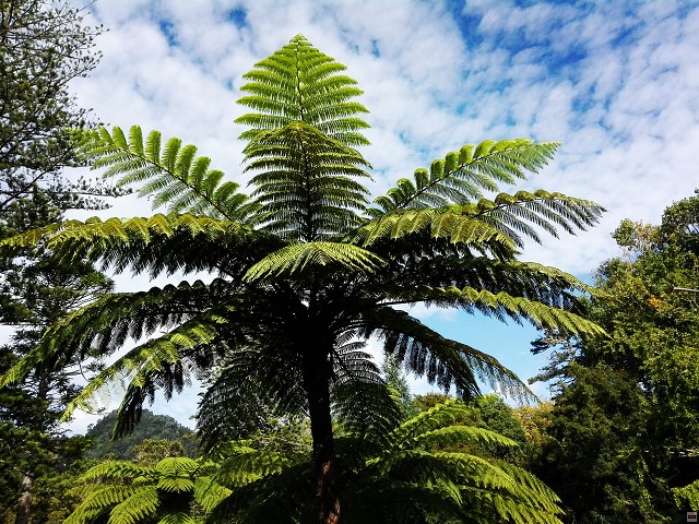 img00025.jpg