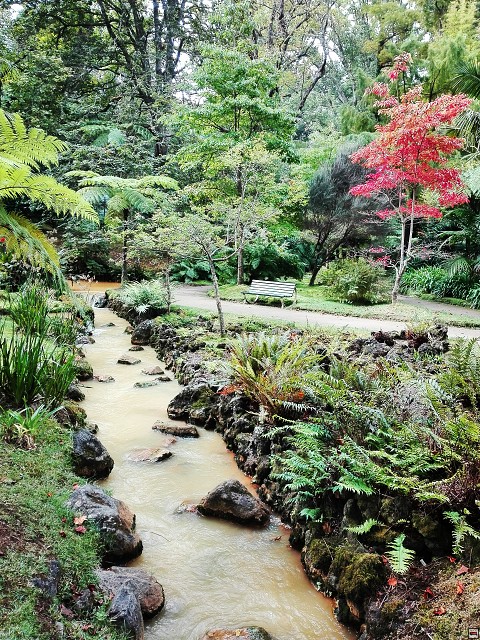img00030.jpg