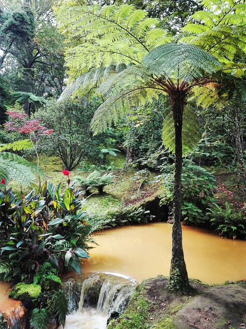 img00031.jpg