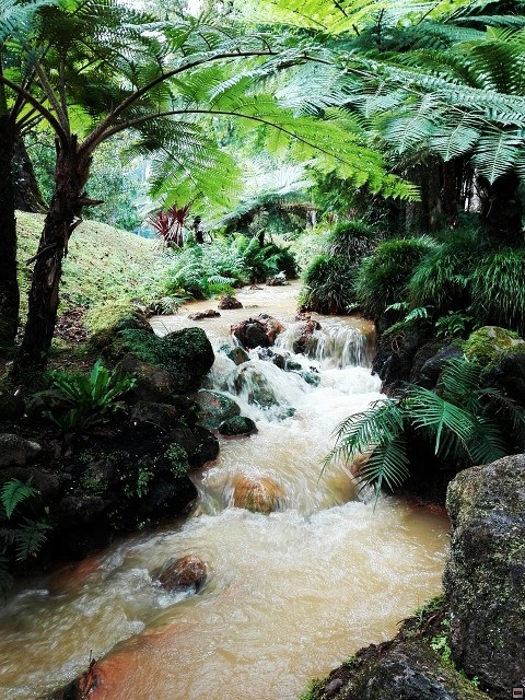 img00032.jpg