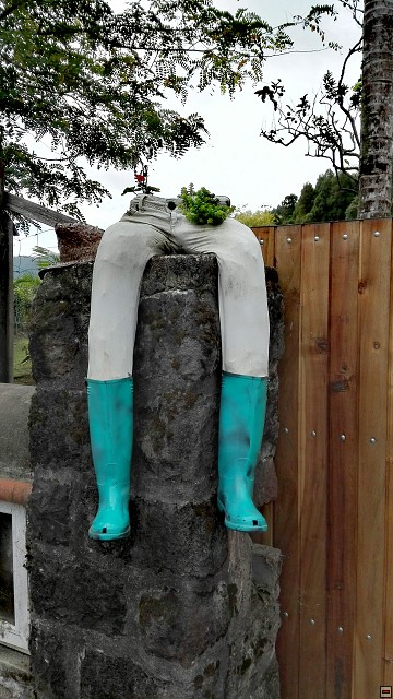 img00038.jpg