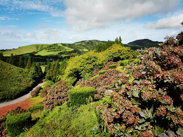 img00041.jpg