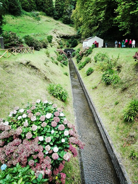 img00008.jpg