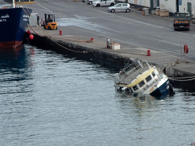 img00013.jpg
