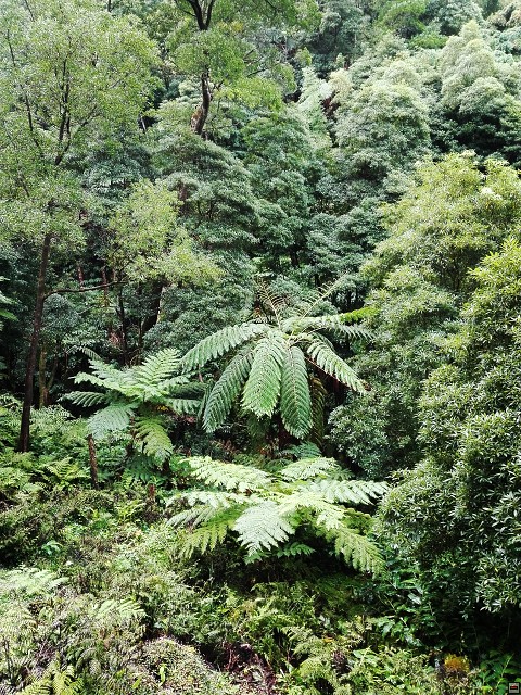 img00006.jpg