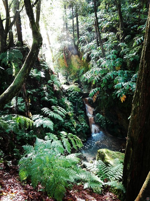img00011.jpg