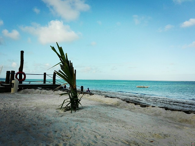 img00008.jpg