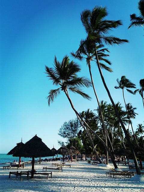 img00011.jpg
