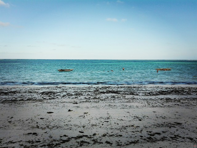 img00015.jpg