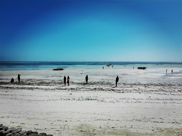 img00021.jpg