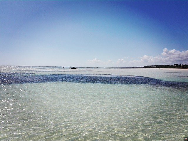 img00024.jpg