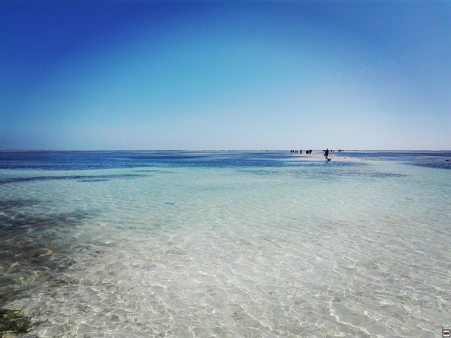 img00026.jpg