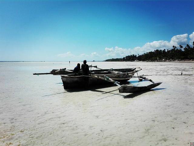 img00027.jpg
