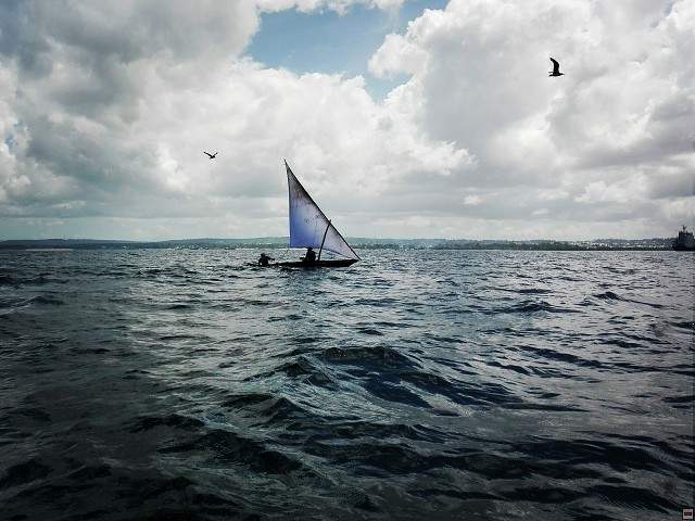 img00038.jpg
