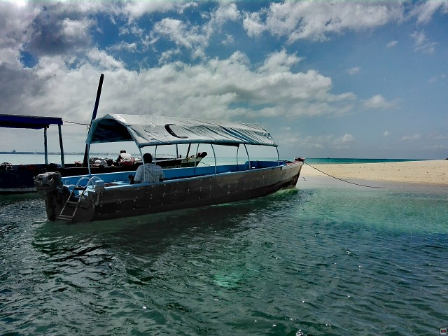 img00041.jpg