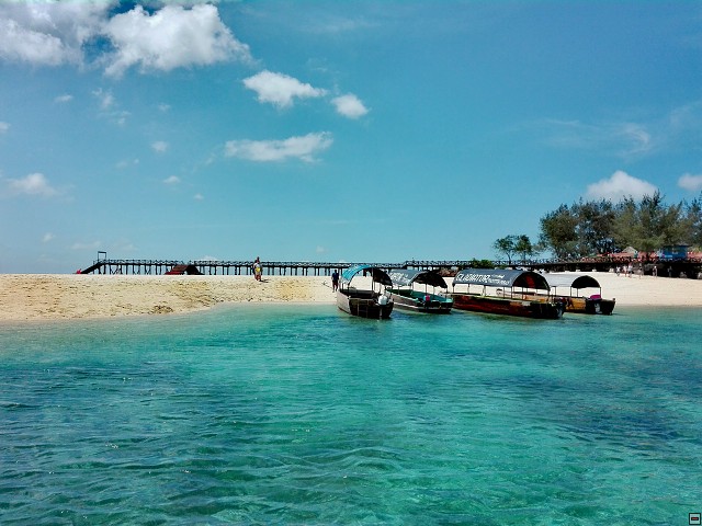 img00042.jpg