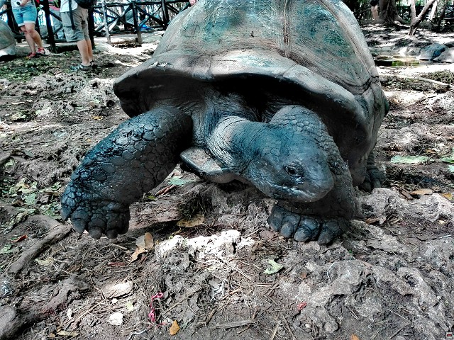 img00047.jpg