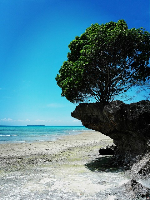 img00049.jpg