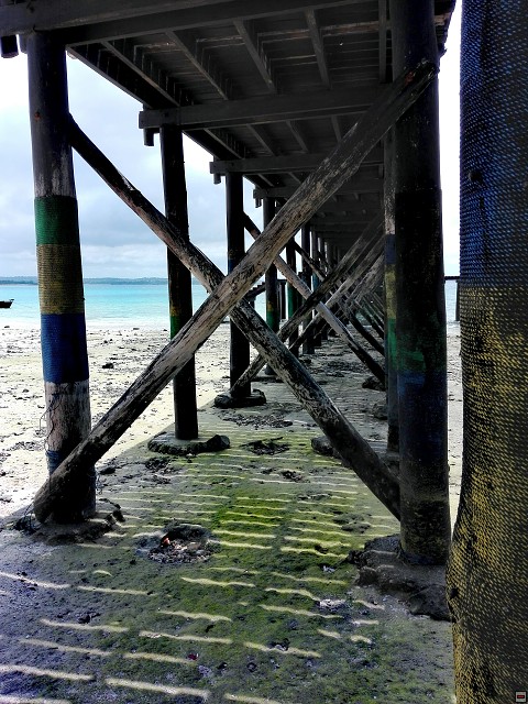 img00051.jpg