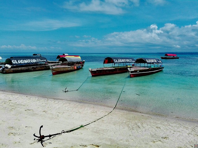 img00052.jpg