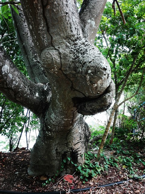 img00055.jpg