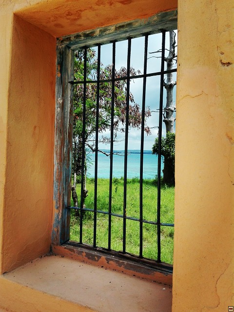 img00060.jpg
