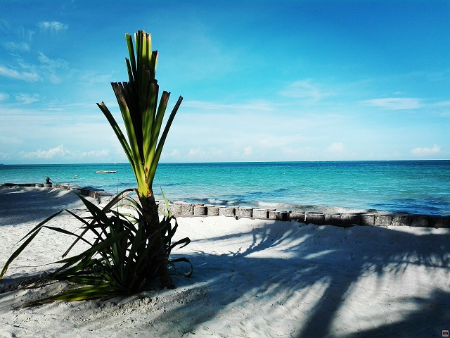 img00065.jpg