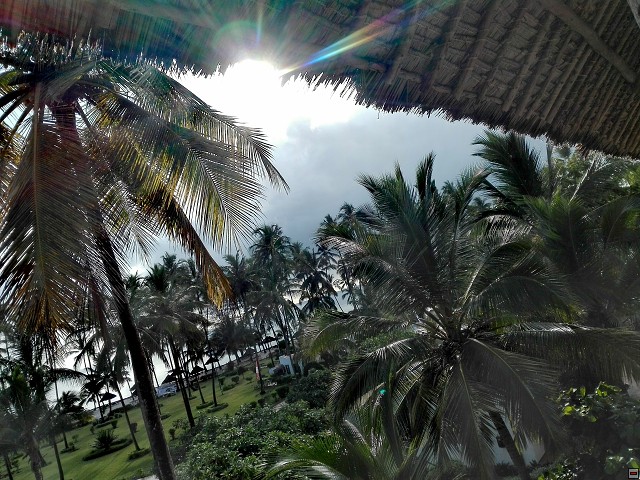 img00070.jpg