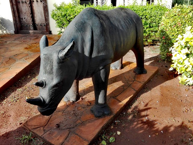 img00072.jpg