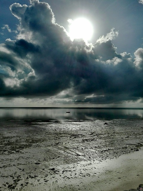 img00089.jpg