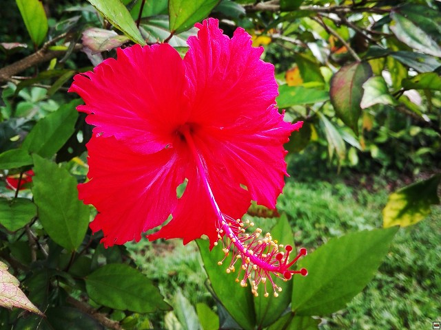 img00099.jpg