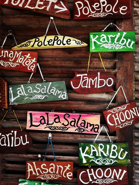 img00136.jpg