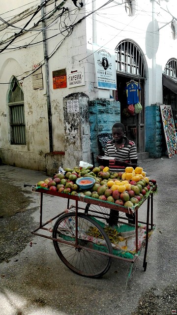 img00139.jpg