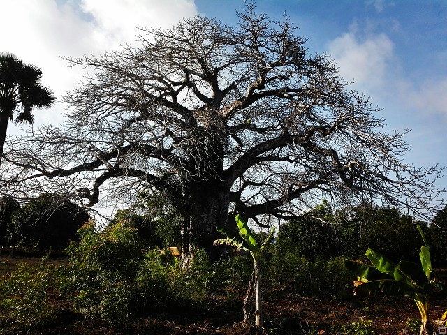 img00144.jpg