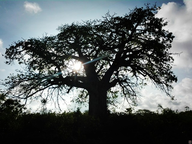 img00145.jpg
