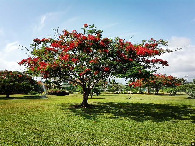 img00153.jpg