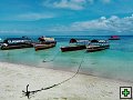 thn00052.jpg