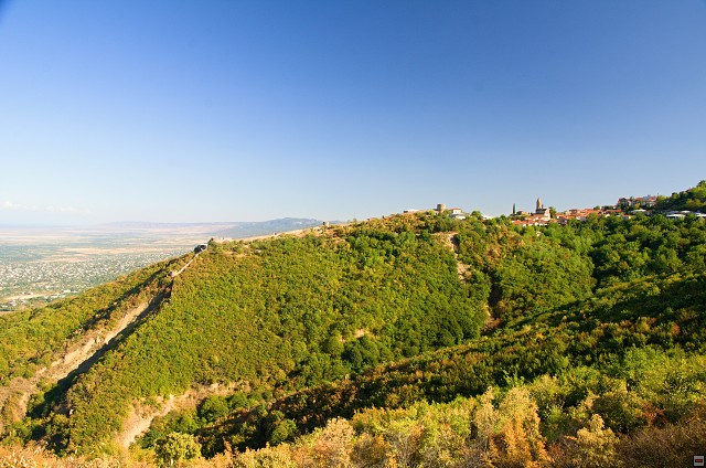 img00012.jpg