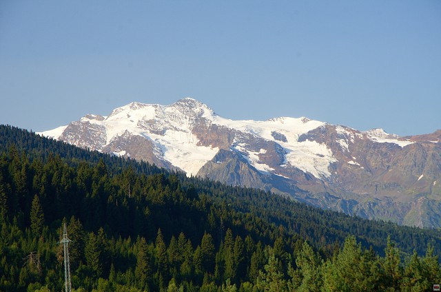 img00009.jpg