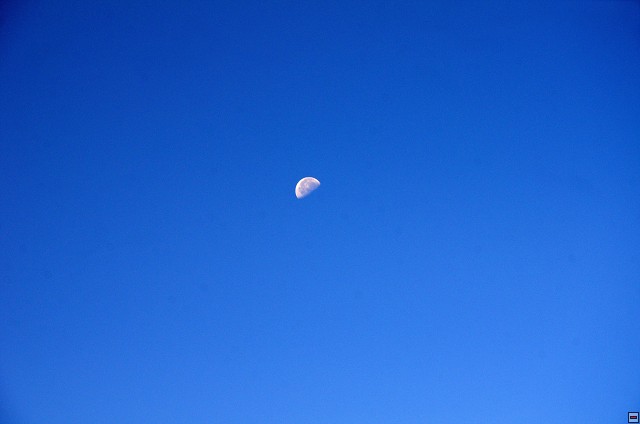 img00007.jpg
