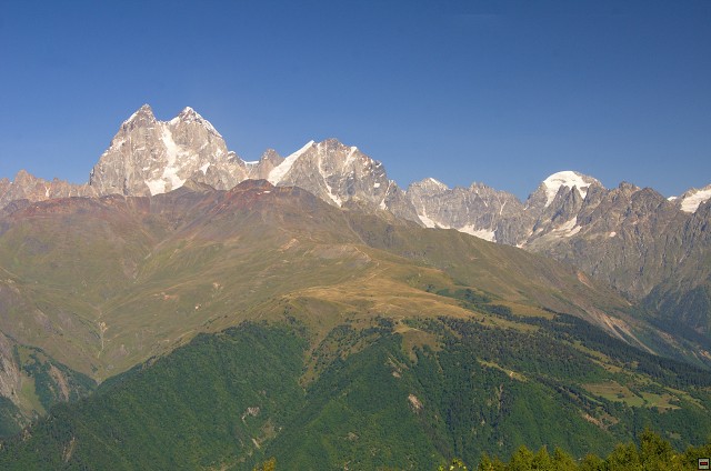 img00008.jpg