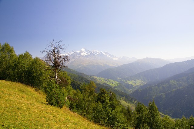 img00010.jpg