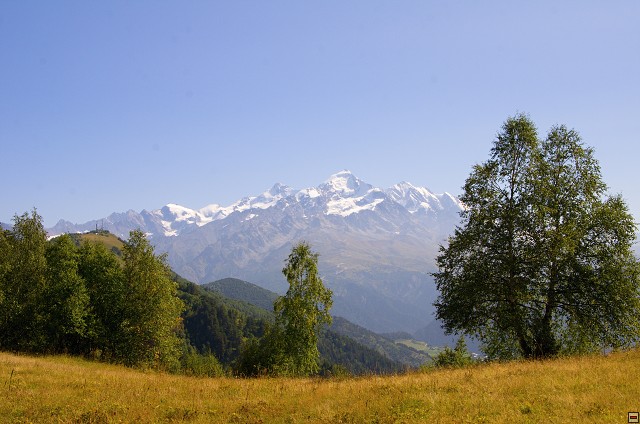 img00011.jpg